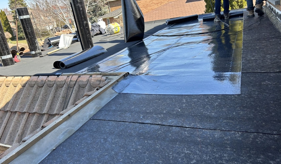 Thrive Roofing (10)